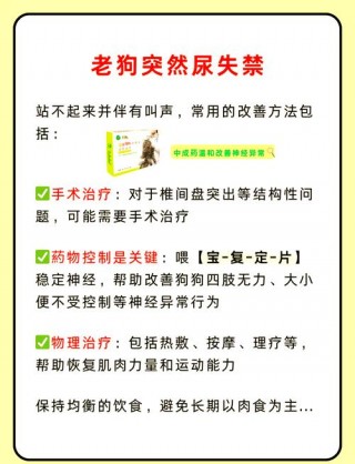狗狗尿失禁怎么办，（狗狗尿失禁了怎么治疗）