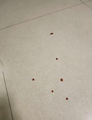 猫咪大便末端带血，猫咪大便末端带血粘液吃什么药？