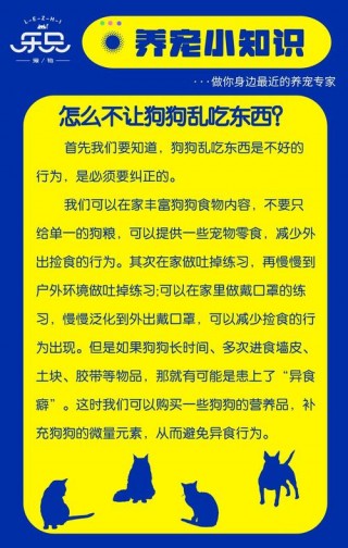 怎么让狗狗不乱吃东西，（怎么让狗不乱吃外面的东西）