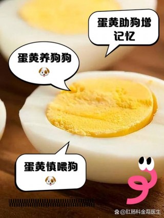 狗狗能吃茶叶蛋吗，狗狗可以吃茶叶蛋里的蛋黄吗？