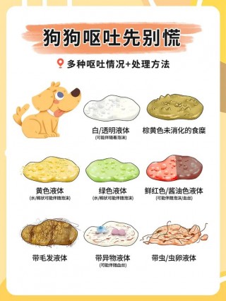 狗狗呕吐怎么治，（狗狗经常呕吐怎么回事）
