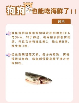 狗狗可以吃海鲜吗？狗狗能吃海鲜吗?可以喂食狗狗海鲜吗?（最新）
