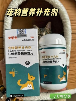 猫咪流鼻涕吃什么药？猫咪流鼻涕吃什么药比较好（最新）