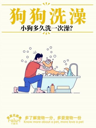 狗狗冬天多久洗一次澡，狗狗一个月洗几次澡合适？