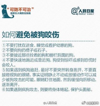 狗狗被别的狗咬伤了怎么办，（狗狗被别的狗咬伤了怎么办啊）