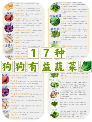 狗狗可以吃菜吗，狗可以吃蔬菜之类的吗？