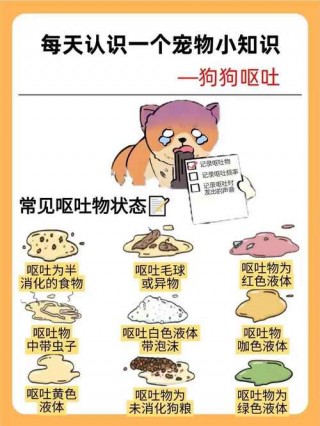 狗狗吃什么吐什么？狗狗吃什么吐什么什么原因（最新）