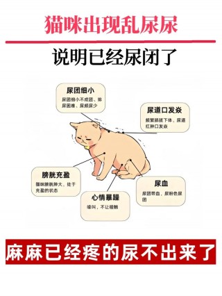 猫咪膀胱炎多久能好，猫咪膀胱炎需要多长时间能好？