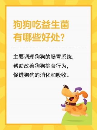 狗狗吃益生菌的好处，（狗狗吃益生菌的好处与功效）