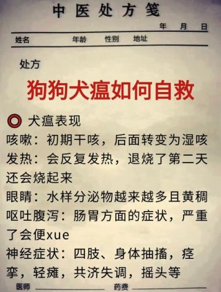 狗狗犬瘟会传染给人吗？狗狗犬瘟病传染人吗（最新）