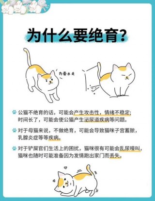 猫咪必须做绝育吗，猫咪一定要做绝育吗?？