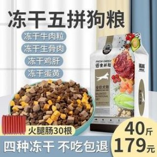 狗狗多大能吃干狗粮，（小狗多大才能吃干狗粮）