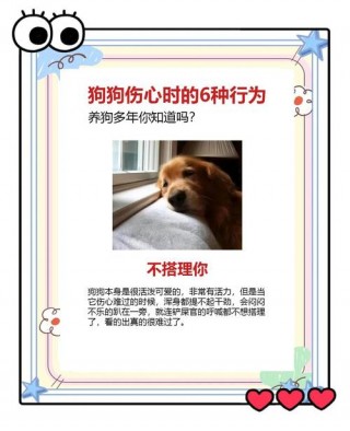 狗狗被寄养会想主人吗？狗狗被寄养会想主人吗知乎（最新）