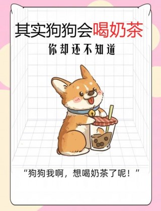 狗狗喝了奶茶怎么办？狗子喝了奶茶（最新）
