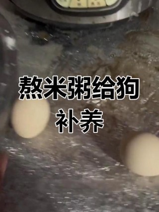狗狗能喝米汤吗，（小狗能喝米汤水吗）