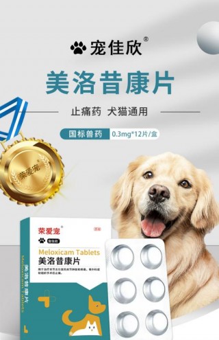 猫咪骨折吃什么药，（猫咪骨折吃什么药恢复快）