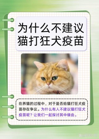 猫咪有必要打狂犬疫苗，（狗昨天打了狂犬疫苗今天咬了一下）