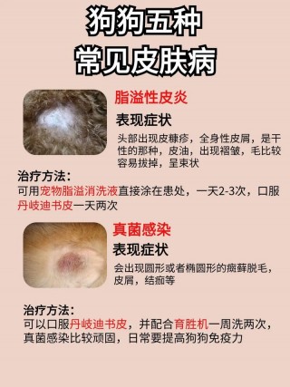 狗狗风湿的症状有哪些，狗狗风湿病的症状？