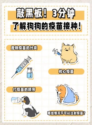 狗狗都打什么疫苗，（狗狗打什么疫苗好一点）