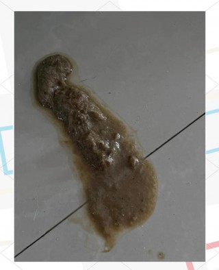 肠虫清猫咪可以吃吗？肠虫清可以给猫咪驱虫吗（最新）