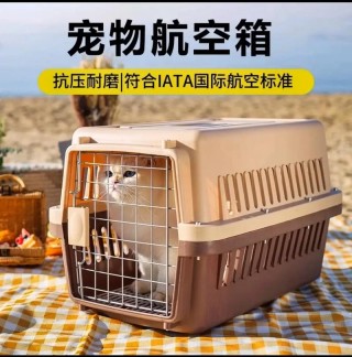 猫咪航空箱怎么安装，（猫咪航空箱重量和尺寸）