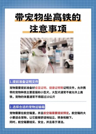 高铁上可以带猫咪吗？高铁可以带宠物猫上去吗?（最新）