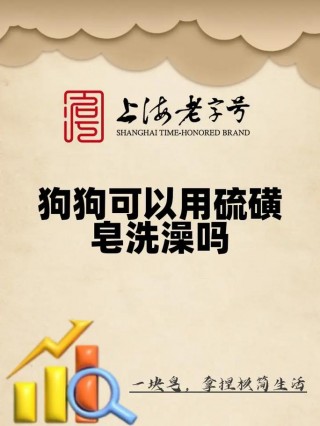 狗狗可以用香皂洗澡吗？狗能用香皂洗澡么（最新）