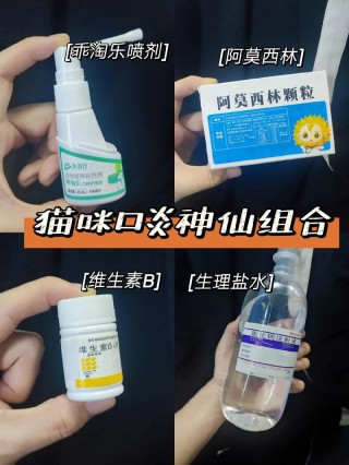 猫咪口炎如何在家治？猫咪口炎如何治疗（最新）