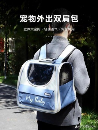 猫猫能上地铁吗？猫咪能不能上地铁（最新）