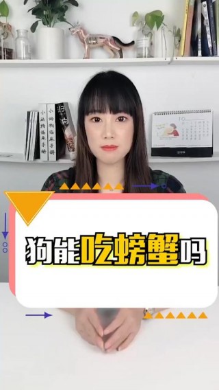 狗狗能吃螃蟹吗，狗狗可以吃螃蟹不？