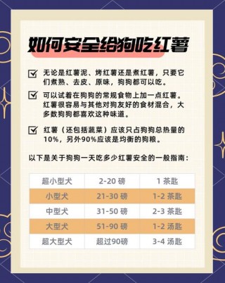 狗狗可以吃生红薯吗，狗狗吃生红薯吗会死吗？