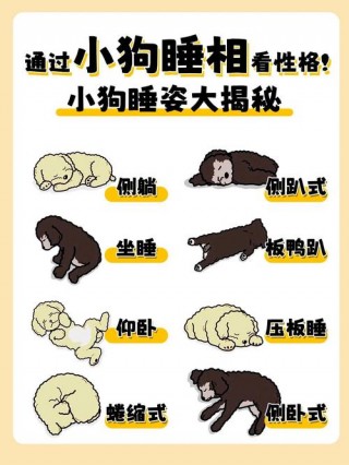 如何让狗狗睡觉，（怎样让狗狗睡觉安静）