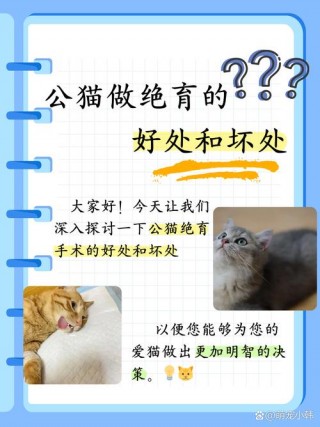 猫咪绝育的好处坏处，（猫咪绝育有什么好处）