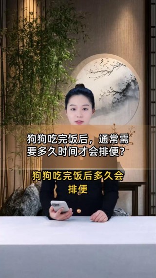 狗狗吃完饭多久拉屎，狗狗吃完饭多久拉屎不臭？