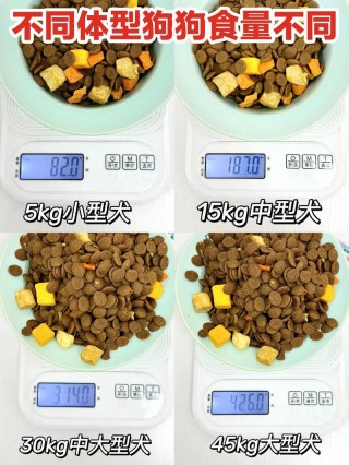 四个月狗狗吃多少狗粮，4个月狗狗喂多少狗粮？