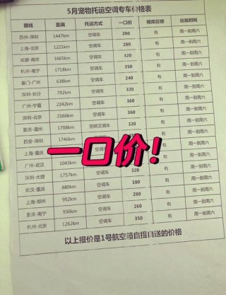 猫猫托运多少钱？一般猫咪托运多少钱（最新）