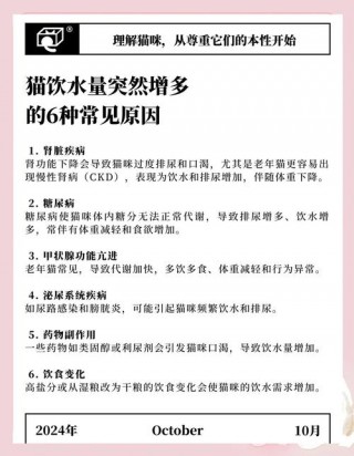 猫咪一直喝水怎么回事？猫咪一直喝水怎么回事还吐了（最新）