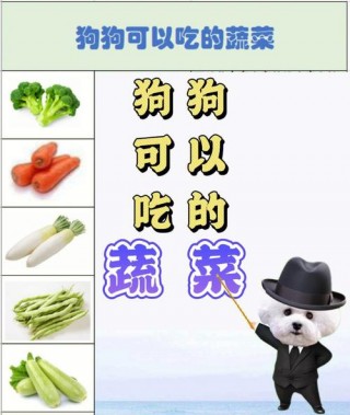 狗狗可以吃哪些蔬菜，（适合狗长期吃的主食）