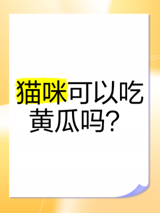 猫咪能吃黄瓜吗？猫咪能吃黄瓜吗为什么（最新）
