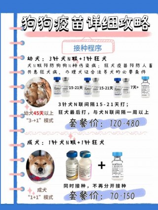 狗狗三联疫苗包括哪些，狗狗三联疫苗打几针？