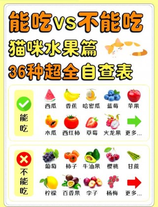 猫咪能吃木瓜吗？猫咪可不可以吃木瓜（最新）