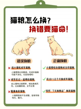 猫咪老拉稀怎么办，猫咪老拉稀怎么办而且很臭？