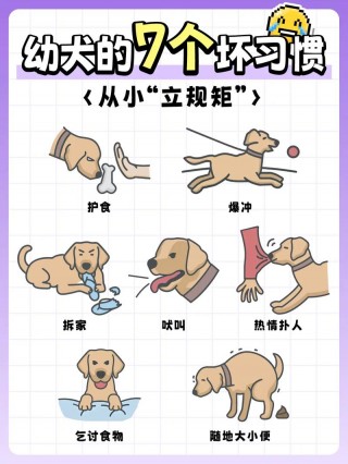 怎么让狗狗不叫，（怎么让狗狗不叫出声）