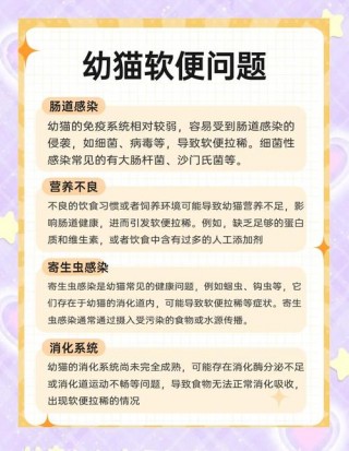 二个月猫咪拉稀怎么办？2个月猫拉稀怎么办（最新）
