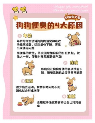 狗狗三天不拉屎怎么办，狗狗三天不拉粑粑怎么办？