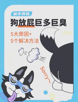 狗狗放屁正常吗，（狗狗放屁怎么回事儿）