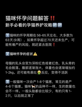 猫咪孕期注意事项，猫咪孕期要准备什么？