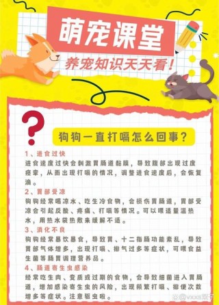 狗狗打嗝怎么办，狗狗打嗝怎么办缓解？