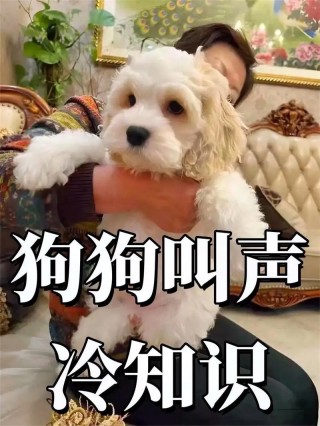 狗狗低吼有几种意思，（狗狗低声吼叫是什么意思）