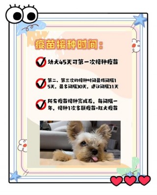 狗狗8联疫苗包括什么？狗狗八联疫苗怎么打（最新）